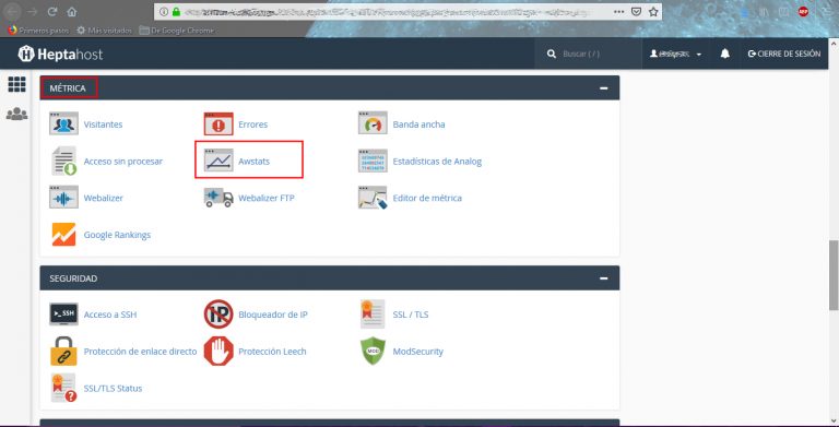 Captura de las estadísticas de visitas en cPanel, paso 2