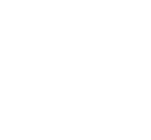 Mesón Principal