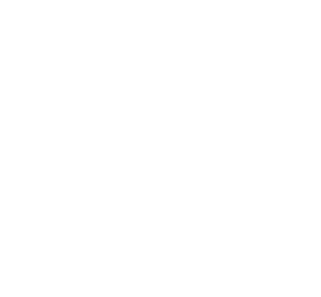 Mesón Principal